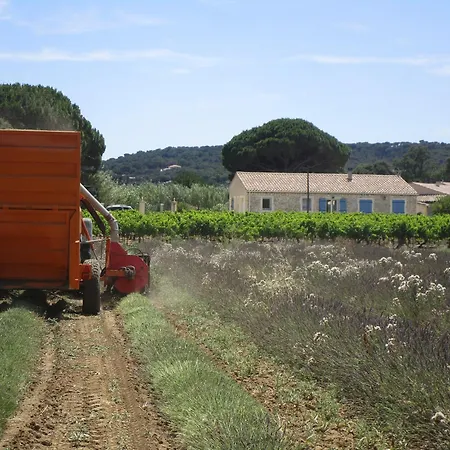 Le Chardonneret *