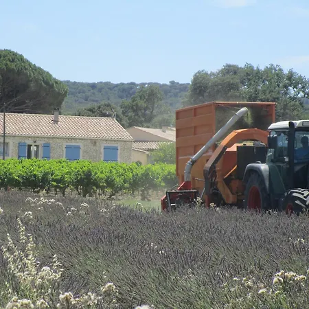 Villa Le Chardonneret